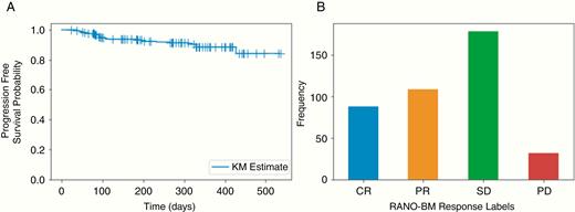 (A) Kaplan–Meier curve for progression-free survival. (B) Bar plot of progression labels based on the RANO-BM response criteria for target lesions at the last available follow-up scan (excluding patients suspected of ARE). += Censored. CR—Complete Response. PR—Partial Response. SD—Stable Disease. PD—Progressive Disease.