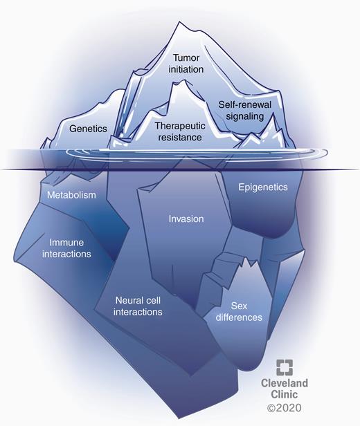 Several phenomena underlie the CSC state and warrant further exploration. The CSC state is shaped by cell intrinsic alterations and cell extrinsic interactions that contribute to clonal evolution and heterogeneity in GBM. Well-studied, established aspects of CSCs in GBM include genetic alterations, self-renewal signaling, tumor initiation potential, and therapeutic resistance (represented above the water). Several emerging areas likely affecting the CSC state include vast epigenetic changes, metabolic alterations, drivers of invasion, the role of immune and neural cell interactions, and sex differences (below the water). CSCs must be considered in the context of all of these features and interactions.