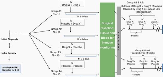 Neoadjuvant trial design schema. A factorial approach facilitates the simultaneous evaluation of several combinations of agents (Drug X + placebo, Drug Y + placebo, placebo + placebo, Drug X + Drug Y). By applying a therapy and then undergoing resection to obtain tissue, neoadjuvant studies provide a systematic method of isolation of pharmacodynamics, immune, and clinical effects of treatment.