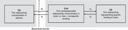 The 2-tissue compartment model used to interpret regional brain radioactivity after i.v. injection of a radiolabeled drug. K1, k2, k3, k4 are first order rate constants with the dimension 1/min.