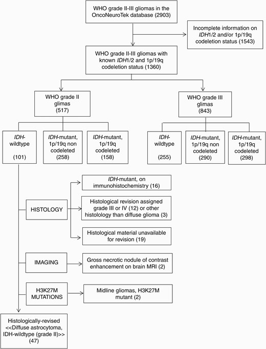 Algorithm for patient selection.