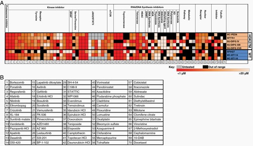 Cell viability screen for efficacious, clinically useable drugs against patient-derived H3K27M-mutant cell lines. (A) Heatmap intensity indicates the absolute IC50 with the range shown below the graph. Black indicates an IC50 outside the measurable range (ie, no efficacy), and gray indicates the drug was not tested for that cell line. Each drug (B) was tested in triplicate with 2–3 independent experiments (n = 6–9) in each cell line.