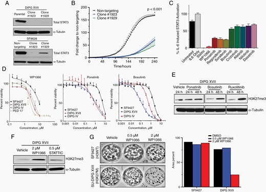 STAT3 inhibition reduces H3K27M-mutant DMG cell viability and proliferation. (A) Western blot demonstrating CRISPR/Cas9-mediated STAT3 knockout. (B) Incucyte proliferation assay of H3K27M-mutant cell line SF8628 clones following knockout of STAT3. (C) Relative anti-STAT3 activity of selected kinase/STAT3 inhibitors using an IL-6 induction assay. (D) Cell viability of indicated cell lines at escalating doses of kinase/STAT3 inhibitors. SF9427 is H3-wildtype; DIPGXVII, DIPGIV, and PED17 are H3K27M-mutant. (E, F) Relative expression of H3K27me3 by Western blot following drug treatment. (G) Clonogenic assay of H3-wildtype SF9427 and H3K27M-mutant DIPGXVII cells following treatment with WP1066.