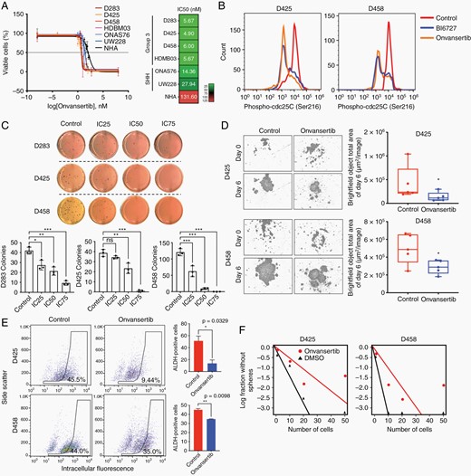 PLK1 inhibition with onvansertib suppresses tumor growth in Group 3 medulloblastoma. (A) Log IC50 determination of onvansertib. Color scale indicates low (green) to high (red) concentrations. (B) The expression of phospho-CDC25C (Ser216) determined by flow cytometry. (C) Methylcellulose assay in D283, D425, and D458 treated with DMSO, IC25, IC50, and IC75 for 2 weeks, respectively. (D) Representative images of neurosphere growth assay in MB cells treated with DMSO or onvansertib. (E) Identification of brain tumor initiating cell fraction in MB cells by ALDH expression demonstrates a decrease in ALDH+ fraction following onvansertib treatment. (F) Neurosphere formation efficacy by extreme limiting dilution assay (DMSO versus onvansertib treatment P = .035 in D425, P = .023 in D458).