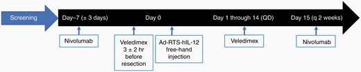 Upon screening and determination of eligibility, each accrued subject underwent an intravenous infusion of nivolumab at either 1 mg/kg (cohort 1) or 3mg/kg (cohorts 2 and 3), seven days (±3 days) before scheduled craniotomy. The activator ligand, veledimex (VDX), was administered 3 hours (±2 hours) before planned craniotomy for tumor resection at either 10 mg (cohort 1 and 2) or 20 mg (cohort 3). Pericavitary injection of the IL-12 immunogene therapy vector (Ad-RTS-hIL-12) was then carried out as previously described.16 Subjects then orally took VDX daily for 14 days postoperatively at 10 mg (cohorts 1 and 2) or 20 mg (cohort 3). Nivolumab was then administered every 2 weeks at either 1 mg/kg (cohort 1) or 3mg/kg (cohorts 2 and 3).