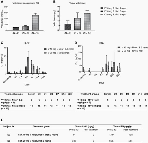 A. Veledimex peak plasma PK results. (Left, VDX 10 mg and nivolumab 1 mg/kg; middle, VDX 10 mg and nivolumab 3 mg/kg; and right, VDX 20 mg and nivolumab 3 mg/kg.). There is a dose-response relationship for plasma veledimex concentration. The VDX 10 mg and nivolumab 1 mg/kg cohort has a similar veledimex plasma concentration to VDX 10 mg and nivolumab 3 mg/kg cohort, and for the VDX 20 mg and nivolumab 3 mg/kg cohort, the veledimex plasma concentration is more than double the level of the VDX 10 mg with nivolumab 1 or 3 mg/kg cohorts (mean ± SEM). B. Veledimex tumor pharmacokinetics (PK). Veledimex tumor concentration is similar to the pattern observed on plasma except for VDX 10 mg and nivolumab 3 mg/kg cohort is slightly higher than VDX 10 mg and nivolumab 1 mg/kg cohort. C&D. Serum cytokine levels. A dose-response of serum cytokine IL-12 and IFN-γ levels was seen between VDX 10 mg and 20 mg dosing with the nivolumab dose combinations. Peak levels of serum IL-12 were observed on Day 3 and Day 7 in VDX 20 mg with nivolumab 3 mg/kg cohort and VDX 10 mg with nivolumab 1or 3 mg/kg cohorts, respectively. Peak levels of serum IFNγ were observed on Day 7 and Day 14 in VDX 10 mg with nivolumab 1or 3 mg/kg cohorts and the VDX 20 mg with nivolumab 3 mg/kg cohort, respectively. (Data are presented as mean ± SEM by day of collection.) The tables below the panels show the number of subjects whose blood samples were available for analyses at indicated timepoints. E. Tumor cytokine levels. Tumor IL-12 and IFNγ pre-IL-12 (though post an adjuvant dose of nivolumab) and post-treatment (Ad + VDX and nivolumab) in subject 103 from the VDX 10 mg and nivolumab initially 1 mg/kg dose-escalated to 3 mg/kg and subject 108 from the VDX 20 mg and nivolumab 3 mg/kg cohorts, respectively.