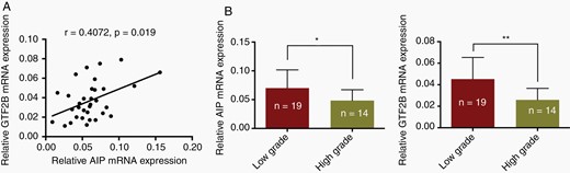 The correlation between GTF2B and AIP mRNA level and their effects on tumor features in GHPA samples. A. Spearman correlation analysis was used to test the correlation between GTF2B and AIP mRNA expression level in 33 GHPAs patients. B. qRT-PCR analysis of GTF2B and AIP mRNA expression between low grade group (n = 19) and high-grade group (n = 14) of GHPA samples. The Mann–Whitney U test was used. Bar represents mean ± SD, *P < .05, **P < .01, and ***P < .001.