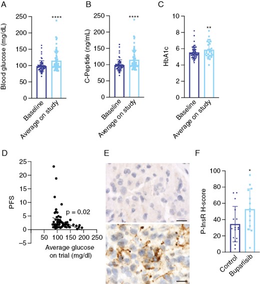 Buparlisib induces hyperglycemia and insulin receptor phosphorylation in tumor tissue from GBM patients. Baseline and average on-treatment glucose (A), C-peptide (B), and HbA1c (C) values were obtained from patients treated on the Phase 2 study of buparlisib for recurrent GBM. (D) Logistic regression of the association between average glucose values on trial and progression-free survival. (E) Tumor tissue from patients in the study and from historical controls was subjected to immunohistochemistry for phosphorylated insulin receptor. (F) H-scores from tumor tissue were quantified using Halo software. **P < .01, ****P < .0001. Scale bars = 20 μm. GBM, Glioblastoma.