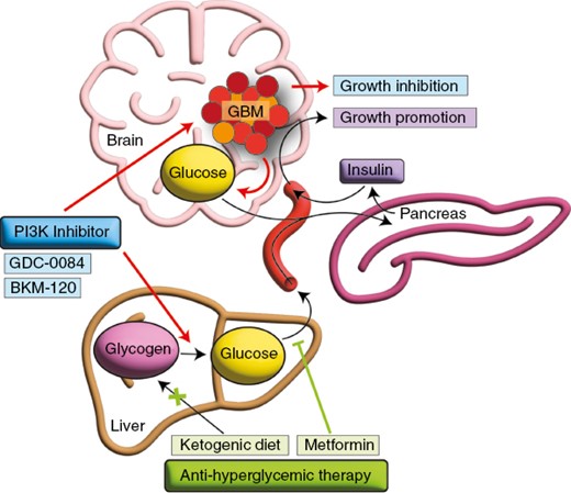 Graphical Abstract
