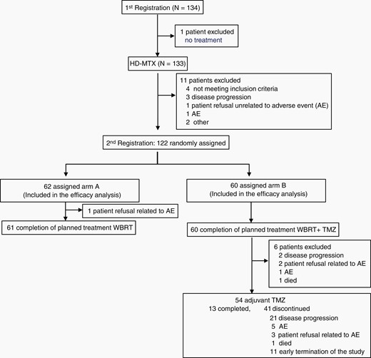 CONSORT diagram showing the distribution and treatment of patients in the JCOG1114C study. AE, adverse event.