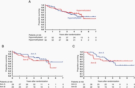OS with respect to MGMT promoter methylation. (A) Kaplan–Meier curves of MGMT promoter hypermethylated versus hypomethylated tumors in the whole cohort suggesting that MGMT promoter methylation is not a prognostic factor. (B) Kaplan–Meier curves of patients with MGMT promotor hypermethylated tumors. There is no survival advantage or disadvantage in either arm A or arm B, suggesting that MGMT promoter methylation is not predictive for TMZ treatment. (C) Kaplan–Meier curves of patients with MGMT promoter hypomethylated tumors. MGMT, O6-methylguanine-DNA methyltransferase.