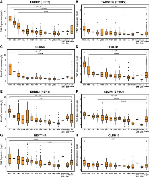 Molecular profiling of ADC targets in adult and pediatric CNS tumors. To broaden and validate our analysis of ADC targets in CNS tumors, we analyzed RNA microarray expression data from publicly available CNS tumor GEO datasets (n = 356 total tumors). We again found that ERBB/HER2 was selectively enriched in EPN (P = 2.6 × 10−10), and also found significant enrichment in meningioma (MEN, P = 2.22 × 10−16) and AT/RT (P = .009) (A) TACSTD2/TROP2 was modest in most tumors with relative enrichment in primary central nervous system lymphoma (PCNSL) (P = 1.5 × 10−6); craniopharyngiomas were not present for comparison (B). CLDN6 was strongly enriched in AT/RT (P = 4.9 × 10−6), with slight enrichment in PCNSL (P = .0003) and a single PB (C). FOLR1 was enriched in EPN (P = 4.2 × 10−9) and MEN (2.1 × 10−8) (D). HER3/ERBB3 was broadly expressed with enrichment in pilocytic astrocytoma (PA, P = 2.22 × 10−16) and to a lesser extent adult GBM (P = .0076) (E). CD276/B7-H3 showed broad expression, with relative enrichment in AT/RT (P = 1.7 × 10−10), GBM (P = .0004), and MB (.0002) (F). NECTIN4 showed broad expression with relative enrichment in EPN (P = .008) and PCNSL (P = .002) (G). CLDN18 showed low expression in all subtypes, with slight relative enrichment in PCNSL (P = .0008) (H). All statistical comparisons performed using a Student’s t-test, unpaired, 2-sided with α = .05.
