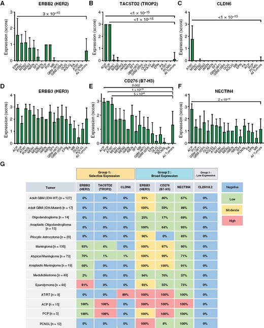 Semi-quantitative evaluation of ADC target expression in CNS tumors. ADC marker expression was compared in each subtype via semi-quantitative index scoring by a pathologist. HER2 expression was enriched in ependymoma (P = 3 × 10−15), with moderate expression in all meningioma subtypes and craniopharyngioma (A). TROP2 was strongly enriched in ACP and PCP (P < 1 × 10−15), with rare expression in meningioma (B). CLDN6 was strongly enriched in AT/RT (P < 1 × 10−15) with minimal expression in other tumors (C). HER3 was broadly expressed by all subtypes, with relatively lower expression levels in oligodendroglioma (D). B7-H3 was broadly expressed with enrichment in AT/RT (P = 5 × 10−6), ACP (P = 1 × 10−10), and PCP (P = .002) (E). NECTIN4 showed weak-moderate expression in all subtypes, with slight enrichment in AT/RT (P = 2 × 10−13) (F). Schematic representation of ADC target expression in CNS tumors. Colors indicate typical intensity of staining (IHC index score), while percentages indicate the overall number of cases with any detectable expression (IHC score = 1–3) (G). All statistical comparisons were performed using a Student’s t-test, unpaired, 2-sided with α = .05.