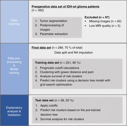 Graphical representation of the study structure. Only the training set was used to calculate cutoffs, for clustering and model training. The test dataset was used as a holdout dataset to provide an unbiased evaluation of the final model.
