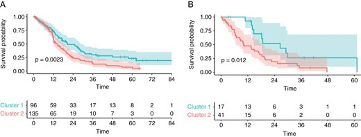 Kaplan–Meier plots of OS in the training data set (A) and test data set (B), stratified to low or high-risk groups according to clustering. Significance was calculated using the log-rank test.