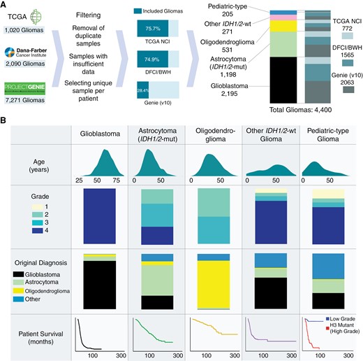 Cohort overview. (A) Overview of constructing a pooled molecularly annotated glioma cohort. (B) Summary of the pooled glioma cohort.