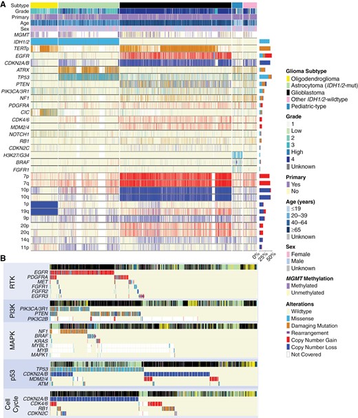 Mutational signatures in glioma. (A) Mutational signatures of gliomas stratified by tumor subtype. Genes were filtered out of the comutation plot if alteration prevalence was low or if not involved in molecular glioma classification guidelines. (B) Molecular alterations within the same tumorigenic pathway were frequently mutually exclusive in glioma.