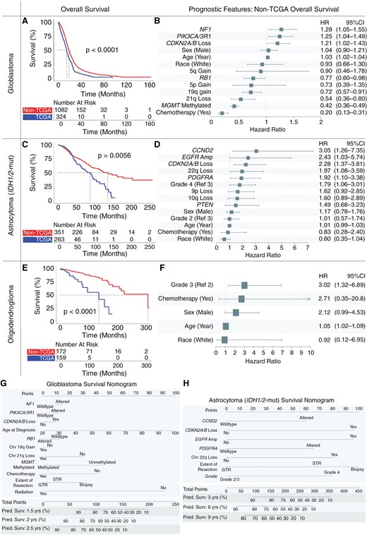 Overall survival and prognostic features in glioma subtypes. Kaplan–Meier curves demonstrate overall survival in the non-The Cancer Genome Atlas (TCGA) cohort exceeds that of the TCGA cohort for patients with newly diagnosed (A) glioblastoma, (C) IDH1/2-mutant astrocytoma, and (E) oligodendroglioma. Multivariate adjusted clinical and molecular features predictive of overall patient survival for newly diagnosed (B) glioblastoma, (D) IDH1/2-mutant astrocytoma, and (F) oligodendroglioma. Nomograms quantify the predicted probability of patient survival integrating clinical and molecular features for (G) glioblastoma and (H) IDH1/2-mutant astrocytoma.