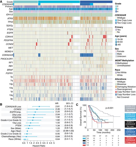 Molecular profile of included tumors in part A, features prognostically significant for overall survival in part B, Kaplan-Meier survival curves with molecular stratification in part C.