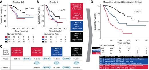 Overall survival data for tumors stratified by WHO grade and molecular alterations in parts A-C, Kaplan-Meier survival curves integrating molecular data in part D.