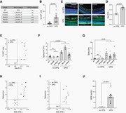 The germline Nf1 gene mutation dictates RGC excitability and midki...