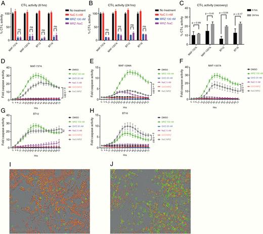 Marizomib (MRZ) induces strong proteasome inhibition and a rapid caspase activation, which is not essential for cell death, but may be variably inhibited by ROS scavenging. (A–C) Chymotrypsin-like activity of cells treated for either 6 or 24 h with 100 nM MRZ, 5 mM NaC, or both. (D–H) Caspase activity over 72 h by fluorescence microscopy in an Incucyte ZOOM for MAF-737A (D), MAF-1298A (E), MAF-1337A (F), BT12 (G), and BT16 (H). Statistics presented are from 2-way ANOVA. (I and J) BT16 cells treated for 24 h with either Dimethyl sulfoxide (DMSO) (I) or 100 nM MRZ (J). Cells are labeled with a nuclear red dye, and caspase activation is shown by green fluorescence. Scale bar is 200 µm. Statistics presented are for Dunnett’s multiple comparisons test.