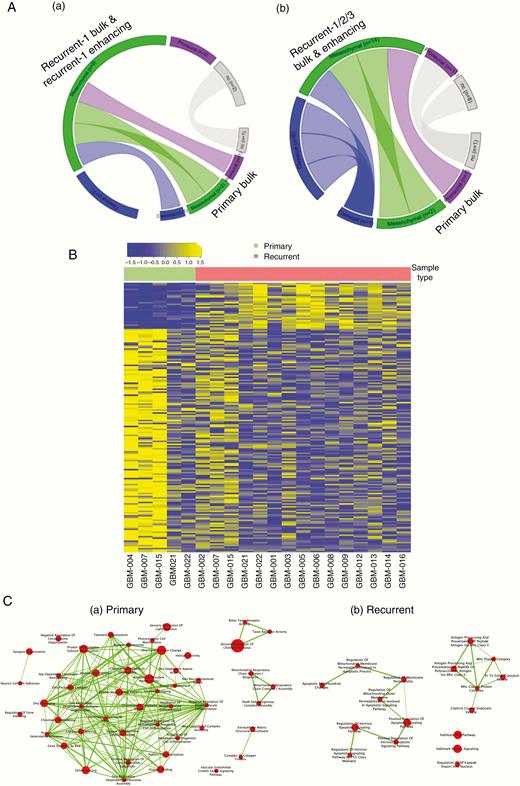 Changes over time demonstrated by descriptive transcriptomic analysis. (A) Circos plots showing subtype dynamics over time between the primary bulk and EN region of the recurrence (inset a) and between primary bulk and EN region of 2 subsequent recurrences (inset b). (B) Heatmap showing significantly differentially expressed genes between primary bulk and recurrent EN regions. (C) Gene ontology analysis showing activated signaling pathways in primary bulk (a) and recurrent EN regions (b).