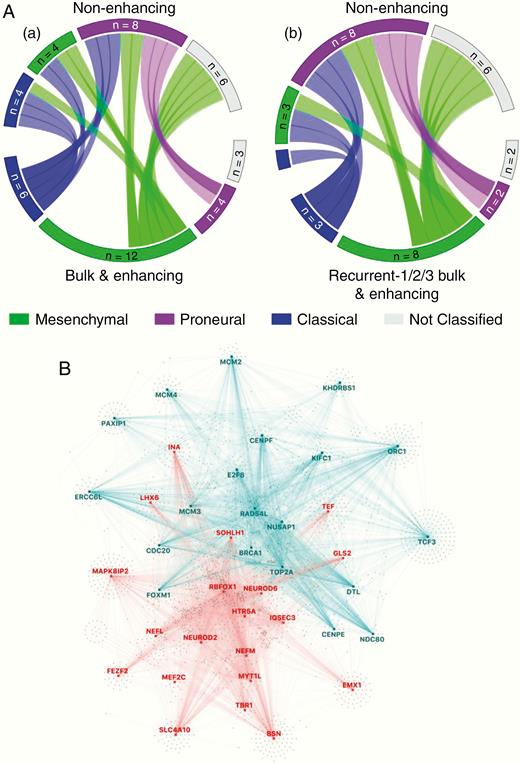 Spatial change demonstrated by descriptive transcriptomic analysis. (A) Circos plots showing subtype dynamics across space between bulk tumor and enhancing (EN) regions versus non-enhancing (NE; inset a) and between all recurrent bulk and EN tissue versus recurrent NE samples (inset b). (B) Master regulator analysis between proneural EN regions and proneural NE regions of recurrent tumors showing master regulators activated in EN (blue) and in NE (red) regions.