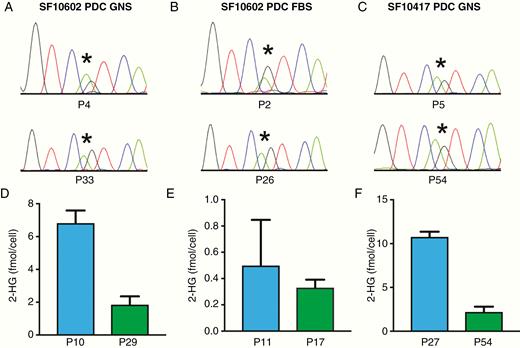 PDCs retain heterozygous IDH1 R132H through serial passage and continue to produce 2-HG. (A–C) Each of the 3 PDCs retains IDH1 R132H through multiple passages as determined by Sanger sequencing and (D–F) produces 2-HG through multiple passages, as measured by NMR. *The location of the heterozygous G>A mutation in IDH1.