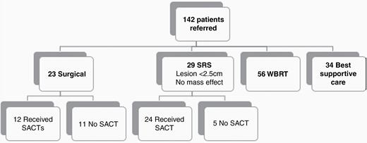 Hierarchal flow chart of the patient population. SRS, stereotactic radiosurgery; WBRT, whole-brain radiotherapy; SACT, systemic anticancer therapy.
