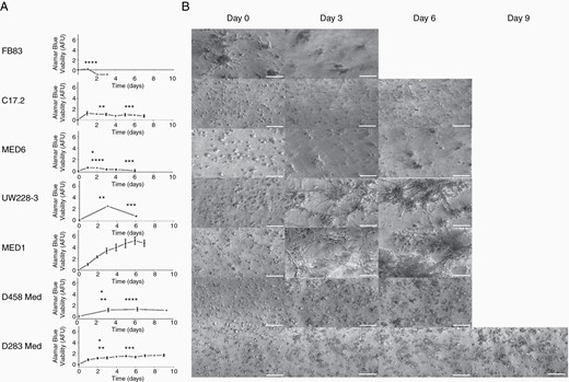 Cell growth and morphology in the 3D-BME model. Non-tumorigenic (FB83 and C17.2), non-metastatic (MED6 and UW228-3), and metastatic (MED1, D458Med, and D283Med) cell lines were cultured in the 3D-BME model. (A) Metabolic activity was assessed with the AlamarBlue metabolic assay to determine the arbitrary fluorescent units (AFU; n ≥ 2). One-way ANOVA statistical tests shown were compared with MED1 (denoted in black), FB83 (denoted in red), and UW228-3 (denoted in blue) at days 3 and 6 (*P ≤ .05, **P ≤ .001, ***P ≤ .0005, and ****P ≤ .0001). (B) Morphology with time-lapse images taken at ×10 magnification (scale bars represent 100 µm).