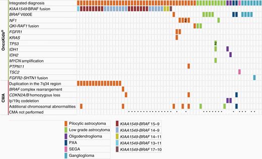 Genomic alterations of pediatric and AYA low-grade glioma and ganglioglioma. Genetic alterations, including Tier I and Tier II sequence variants, RNA fusions, as well as copy number alterations, identified by NGS (n = 62) and chromosomal microarray analysis (n = 32).