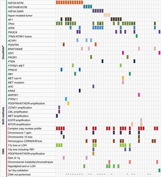 Genomic alterations of pediatric and AYA high-grade glioma identified by NGS (n = 46) and chromosomal microarray (n = 26). Each color in the rows corresponds to a specific genetic alteration as noted above.