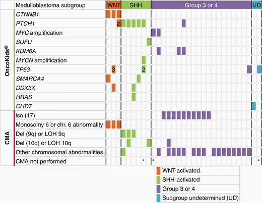 Genomic alterations of pediatric medulloblastomas in this cohort (n = 31). CMA was performed for 28 cases of medulloblastoma.