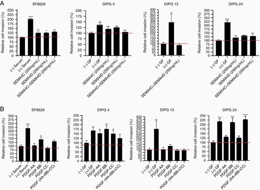 Increased cell invasion stimulated by PLEXIN and PDGFR ligands in multiple DIPG cell lines. (A) SF-8628, DIPG 4, DIPG 13, and DIPG 24 cell lines were used for the invasion assays. The recombinant ligands SEMA4C and SEMA4D were added individually or in combination at 200 ng/mL concentrations. (B) The recombinant ligands PDGF-AA, PDGF-BB, and PDGF-CC were added at 100 ng/mL concentrations in all the experiments. All experiments were performed in triplicates. The (+) serum and (+) growth factors (GF) data served as positive controls and (-) serum and (-) GF were used as negative controls. (* denotes P < .05, ** denotes P < .01, and *** denotes P < .001).