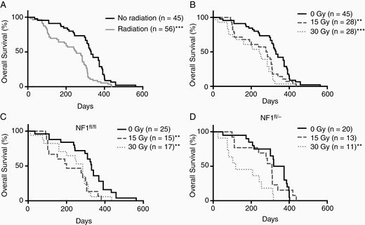 The overall survival of mice following SI. Log-rank tests were used to evaluate statistical significance between curves (*P < .05, **P < .01, ***P < .001). (A) SI decreased overall survival (OS) (all irradiated compared to unirradiated controls (P < .001)). (B) SI at 15 and 30 Gy were associated with a significant reduction in survival compared to no radiation controls (P < .01 and P < .001, respectively). (C) In Nf1fl/fl mice, SI reduced OS at 15 Gy (P < .01) and 30 Gy (P < .01) compared to unirradiated controls. (D) OS of Nf1fl/- mice was decreased following SI at 30 Gy (P < .01).