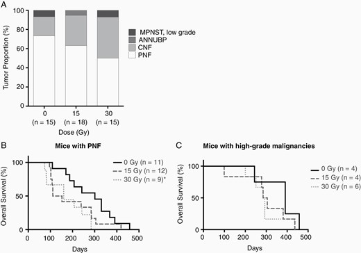 Tumor proportions and the overall survival of mice following SI grouped based on tumor diagnosis. (A) Bar plot of tumor proportion (Y axis) for each doses of SI (X axis). (B) X axis showed days following SI, Y axis showed overall survival (%). Log-rank tests were used to show statistical significance between curves. Statistical significance (P < .05) was shown by asterisk (*). The overall survival of mice with PNF after SI at 30 Gy was significantly lower than controls (P = .04), but not at 15 Gy (P = .08). (C) The overall survival of mice diagnosed with high-grade malignancies was not statistically different between groups.