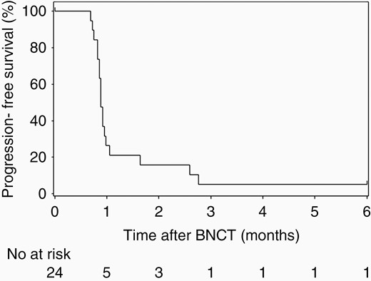Progression-free survival was evaluated by the RANO criteria in patients with glioblastoma.