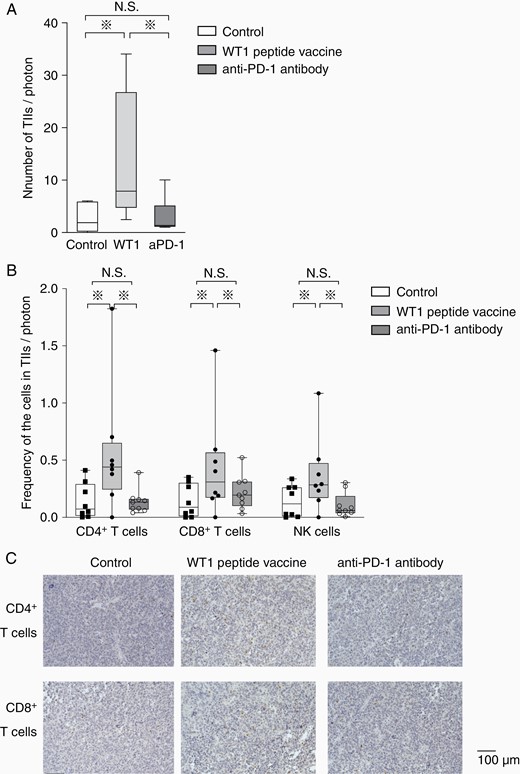 Increased tumor infiltration of CD4+ and CD8+ T cells and NK cells in WT1 peptide vaccine-treated mice. (A) A box-and-whisker plot of total number of TIIs per tumor-emitting bioluminescence (photons/second) in the control (white column, n = 8), WT1 peptide vaccine-treated (gray column, n = 8), and anti-PD-1 antibody-treated mice (dark gray column, n = 9). (B) Box-and-whisker plots with individual data points of the frequencies of tumor-infiltrating CD4+ and CD8+ T cell and NK cells per tumor-emitting bioluminescence (photons/second) in the control (white column, n = 8), WT1 vaccine-treated (gray column, n = 8), and anti-PD-1 antibody-treated mice (dark gray column, n = 9). Asterisks represent the significant difference (P < .05). (C) Immunohistochemical staining of CD4+ (above) and CD8+ (below) of resected tumors in mice treated without any therapy, with WT1 peptide vaccine and anti-PD-1 antibody were shown.