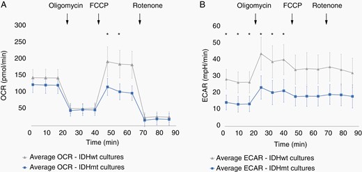 Live cell metabolic analysis of IDHmt glioma cultures. (A) Mean OCR of IDHmt cultures (blue, N = 6) and IDHwt cultures (grey, N = 7). (B) Mean ECAR of IDHmt cultures (blue, N = 6) and IDHwt cultures (grey, N = 7). Error bars represent the pooled standard deviations. Asterisks indicate significantly different mean OCR or ECAR values at the indicated timepoint (Independent Student’s T-test, P < .5). Error bars represent the SD. Ten technical replicates were tested for each culture.