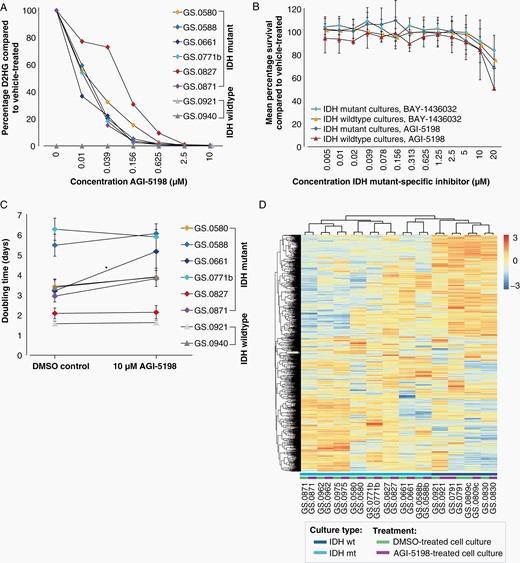 In vitro effect of IDH mutant-specific inhibitors on IDHmt glioma cultures. (A) Percentage of D2-HG in IDHmt (N = 6) and IDHwt (N = 2) cell cultures treated with increasing concentrations of IDH-mutant specific inhibitor AGI-5198 compared to DMSO-controls. Each datapoint represents a single measurement. (B) Mean average survival of IDHmt (N = 6) and IDHwt (N = 2) cultures treated with increasing concentrations of BAY-1438032 or AGI-5198. Data are presented as mean percentage survival ± SD. Each culture was tested in three technical replicates. (C) Mean doubling times of IDHmt (N = 6) and IDHwt (N = 2) cell cultures, cultured with and without 10 µM IDH mutant-specific inhibitor AGI-5198. Error bars represent standard deviations over three consecutive passages. (*P < .05, paired T-test). Three technical replicates were used for each culture and each time point. (D) Heatmap showing unsupervised cluster analysis of RNA expression of IDHmt (N = 8) and IDHwt (N = 4) glioma cultures, cultured with and without IDH mutant-specific inhibitor AGI-5198 for seven days. Unsupervised clustering was performed on the 1000 most variably expressed genes. The heatmap was scaled by row.