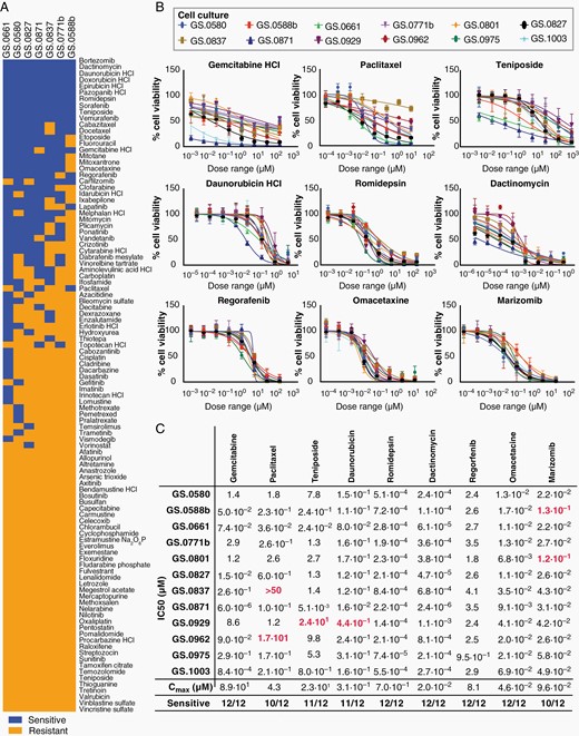 Drug screen with FDA-approved anti-cancer compounds on IDHmt glioma cultures. (A) Heatmap of response of IDHmt glioma cultures (N = 7) to an FDA-approved anti-cancer drug set. Sensitive cell cultures (blue) were defined as having an IC50 < Cmax plasma, while resistant cultures (yellow) had IC50 > Cmax. All drugs were tested with a 10-fold dilution series of six concentrations, in technical duplicates. (B) Dose-response curves of the anti-cancer compounds gemcitabine, paclitaxel, teniposide, daunorubicin, romidepsin, dactinomycin, regorafenib, omacetaxine and marizomib, on all IDHmt cell cultures (N = 12). The X-axes represent increasing concentrations of the respective compounds. The Y-axes indicate the percentage cell viability compared to DMSO-treated controls. All drugs were tested in 3-fold dilution series with 8 concentrations. Error bars represent standard deviation of technical quadruplicates. At least two biological replicates of the screens were performed for each cell culture. (C) IC50 values were calculated based on the dose-response curves shown in Figure 6B. All values represent the drug concentration in µM. Red numbers indicate IC50 > Cmax and are labelled as resistant.