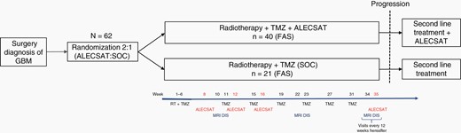 Overview of trial design and study schedule. DIS, disease status evaluation. FAS, full analysis set (or population).