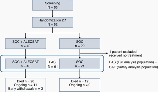 Randomization and study populations.