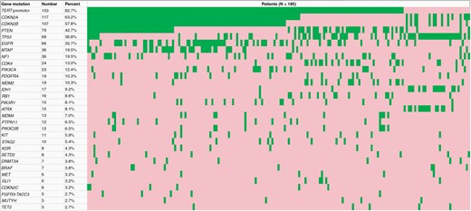 Waterfall plot depicting the most commonly mutated genes in our cohort, sorted by frequency. The most commonly mutated genes included TERT promoter (82.7%), CDKN2A (63.2%), CDKN2B (57.8%), PTEN (42.7%), TP53 (36.8%), and EGFR (35.7%). IDH1 mutation frequency was 9.2%. Mutated genes are depicted in green and non-mutated genes are depicted in red.