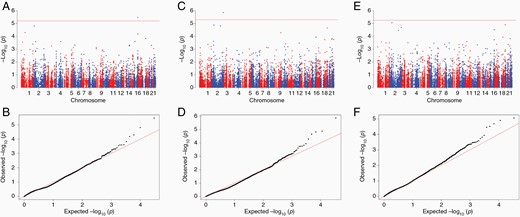 Association analysis results for nucleus mitochondrial SNPs. Significance level is determined by Bonferroni test, based on number of actual tests after pruning. (A) Manhattan plot for European subjects. (B) Q-Q plot for European subjects (lambda value = 1.30) (C) Manhattan plot for Hispanic subjects (D) Q-Q plot for Hispanic subjects (lambda value = 0.93) (E) Manhattan plot for meta-analysis of both populations (F) Q-Q plot for meta-analysis results (lambda value = 1.31).