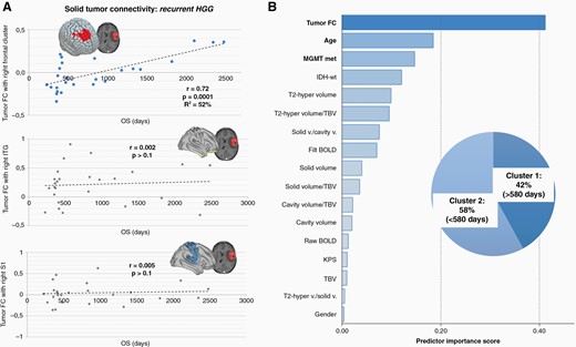 Overall survival in recurrent HGG and patients’ classification. (A) In HGG at recurrence, a single cluster in the right frontal lobe showing FC with the tumor mass was found to significantly predict OS variability across patients. Connectivity with control regions located in right ITG and right S1 showed no significant link with OS (for additional control regions please see Supplementary Figure S2). Regression model parameters are reported in the Results section. (B) A clustering algorithm was used to classify recurrent HGG patients based on OS, producing two groups: (1) long-term survivor—Cluster 1, and (2) short term survivor—Cluster 2. Among available predictors, including clinical, molecular, demographic and radiological parameters (ie, volume of the T2-hyperintense region, solid part, IDH status; see Supplementary Table S2 and Figure S3), tumor functional connectivity resulted as the best predictor of OS. FC, functional connectivity; filt BOLD, filtered BOLD; IDH-wt, IDH-wild type; ITG, inferior temporal gyrus; KPS, Karnofsky Performance Status score; MGMT met, methylation status of MGMT promoter; OS, overall survival; S1, primary sensory cortex; T2-hyper, T2-hyperintense region; TBV, total brain volume; v., volume.