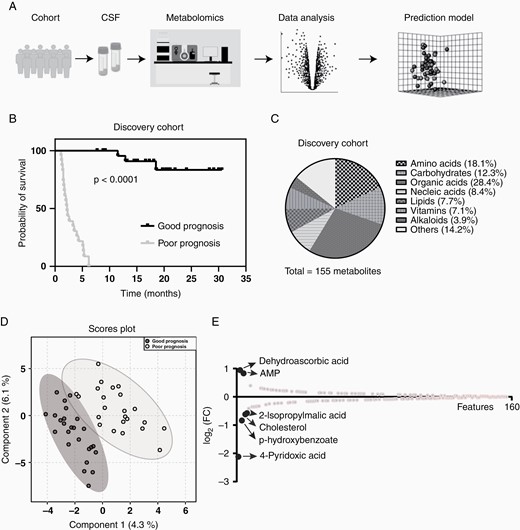 Metabolomic analysis of primary central nervous system lymphoma (PCNSL) patient CSF. (A) The workflow of metabolomic analysis; (B) Patients in discovery cohort were separated by their progression-free survival (PFS) length; (C) Metabolites detected in patient CSF covered most metabolite classes; (D) Metabolites detected in good prognosis (GP) patients’ CSF were different to the ones in poor prognosis (PP) patients; (E) Six metabolic features were selected with a higher different between good and PP patients’ CSF.