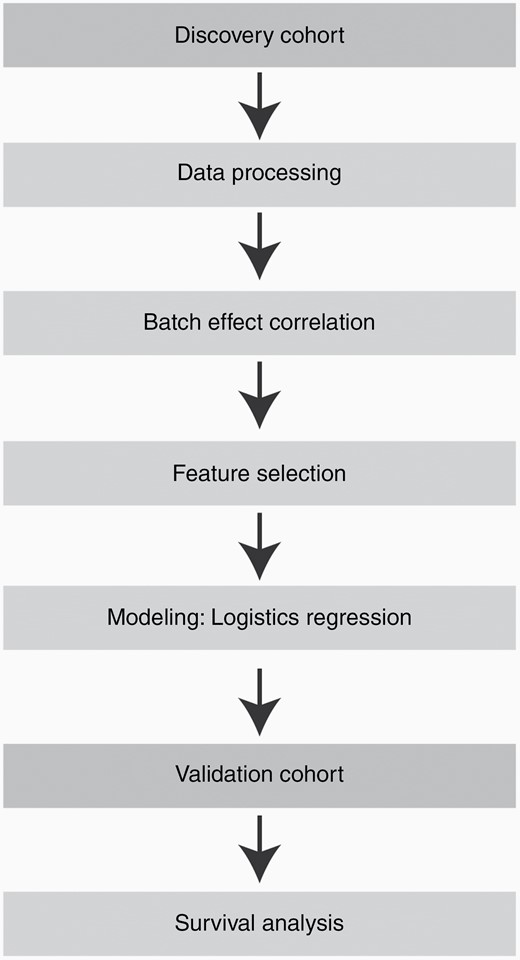 The pipeline of logical regression model development. All the features were selected from the discovery cohort, and then different indexes of the model were tested to locate the best one. The final model was validated using a prospectively collected cohort in which survival analysis was performed.