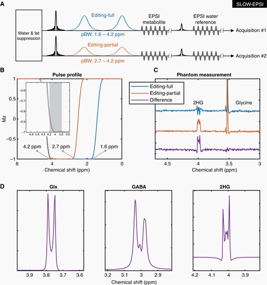 SLOW editing. (A) The sequence of EPSI-based SLOW-editing (SLOW-EPSI). The passband bandwidth (PBW) is 1.6–4.2 ppm for editing-full (acquisition #1), and 2.7–4.2 ppm for editing-full (acquisition #2). (B) Pulse profiles of editing-full and -partial pulse if used as inversion pulse. (C) The phantom measurement results: Editing-full (blue), editing-partial (orange), and difference (purple). (D) The simulation of Glx (glutamate/glutamine = 2/1), GABA, and 2HG under SLOW-editing, respectively. Note the striking resemblance between simulation and phantom measurement (B, E). Simulation of the spin system was performed using in-house MATLAB (R2019b) code, by solving relaxation-free Liouville-von Neumann Equation.33